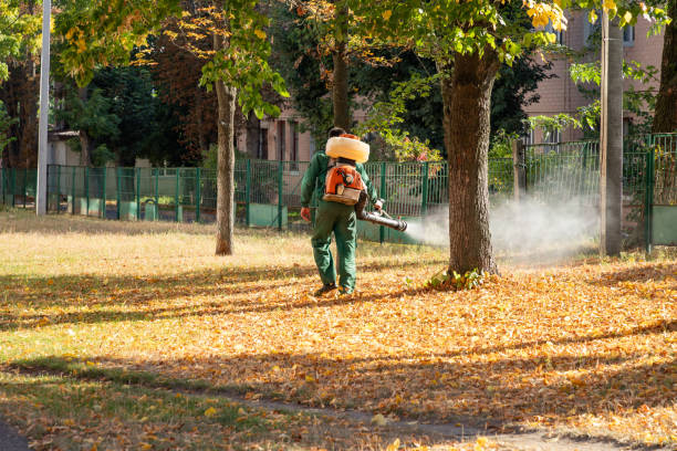 Flea Control Services in Brookings, SD