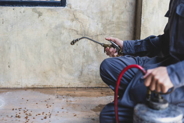 Best Wasp Removal Services  in Brookings, SD